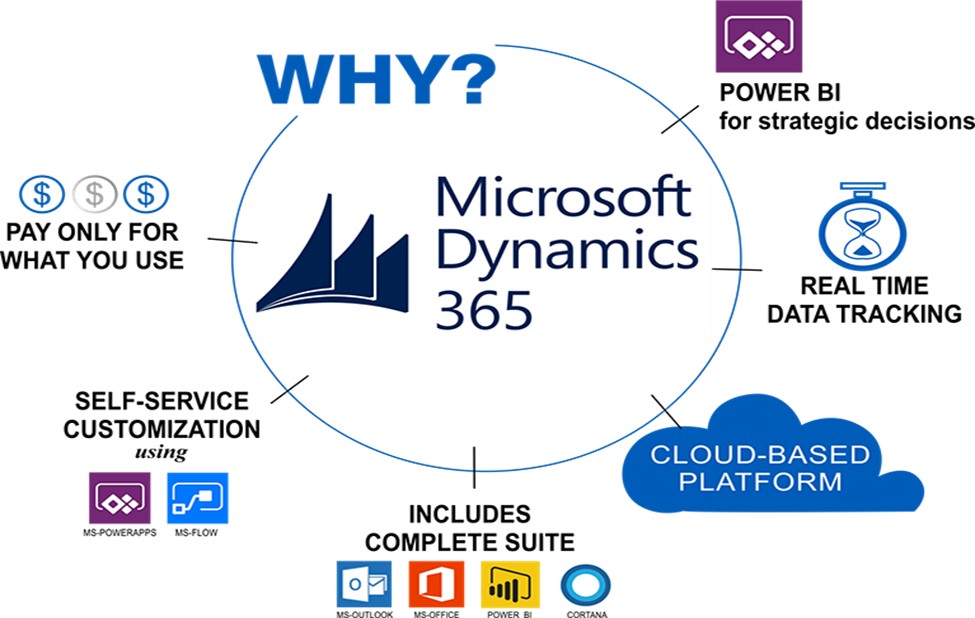 microsoft dynamics rms support